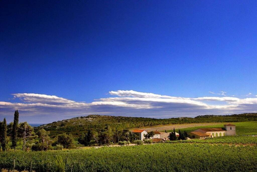 Entre Et Garrigue Saint-Pierre-la-Mer (Aude)