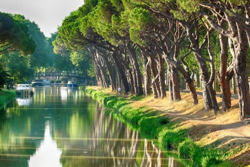 Entre Et Garrigue