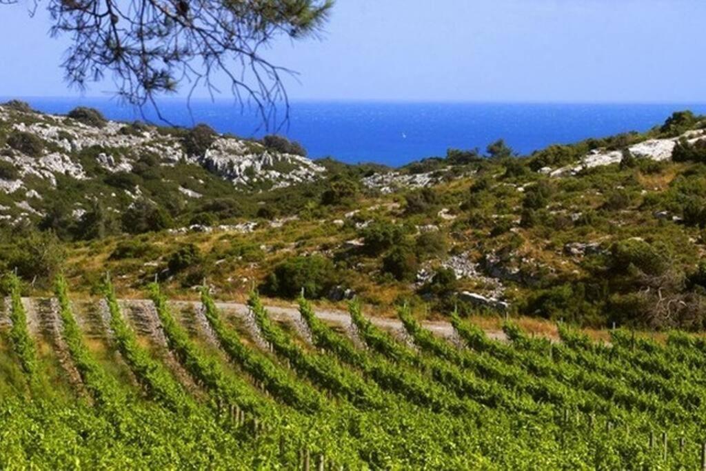 Entre Et Garrigue