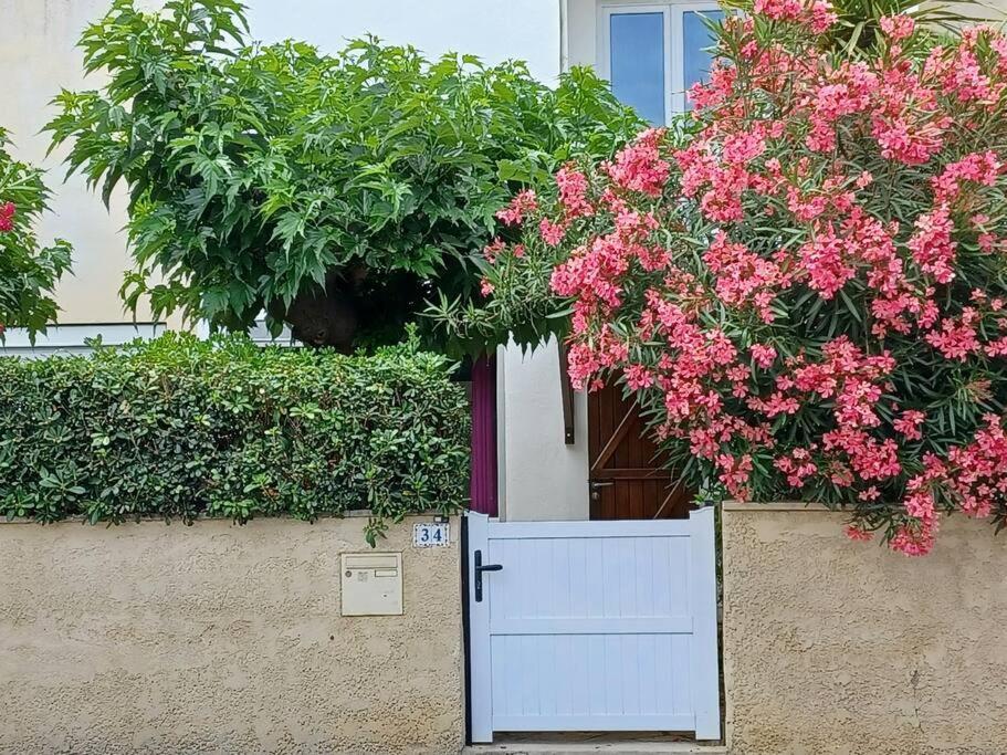 Entre Et Garrigue Villa *